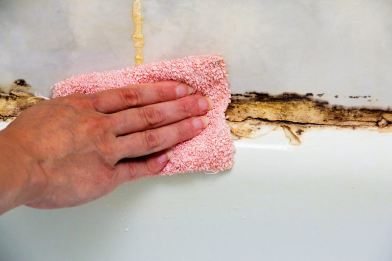 How to Remove Mildew from Bathrooms? House Cleaning & Office Cleaning